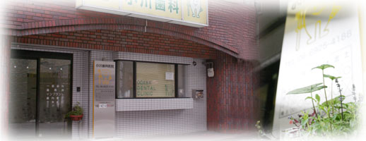 ���쎕�Ȏʐ^